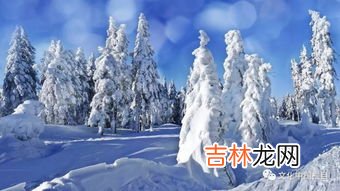 冬天的别称,冬季的别称