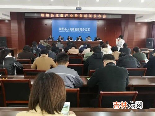 许银川是业几水平,了解一下什么是特级大师 中国象棋特级大师最厉害的是谁