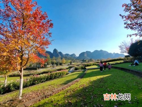 枫叶的花语,枫叶的寓意是什么 枫叶有什么含义
