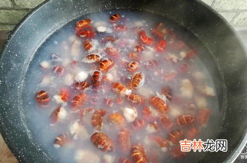 小龙虾焯水还是过油,小龙虾洗净后是直接下油锅炸然后在烹吗，要不要先焯水一下？