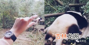 巴卡四川话是什么意思,好巴卡什么意思