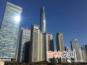 汤臣一品业主群是啥意思,汤臣一品业主群成员都叫什么