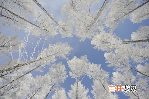 冬天景色描写的一段话,描写冬天景色的段落有哪些?