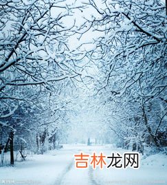 冬天景色描写的一段话,描写冬天景色的段落有哪些?