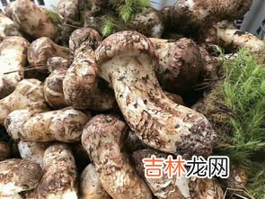 血蛤新鲜放冰箱冷藏可放几天,寄快递的时候血蛤可以放多久