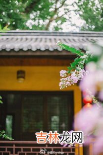 浙江梅雨季节什么时候,浙江梅雨季节是几月份到几月份结束