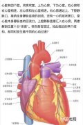 冬季出汗的十大好处,出汗的十大惊人好处 出汗的好处有哪些