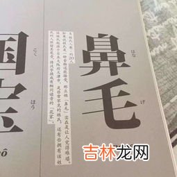 日本最尊贵的姓氏,日本比较稀有高贵的姓氏是什么?