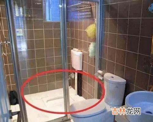 一楼厕所反味特别严重如何解决,家住一楼，卫生间的下水道恶臭阵阵。怎么办? 有木有什么除臭剂之类的。