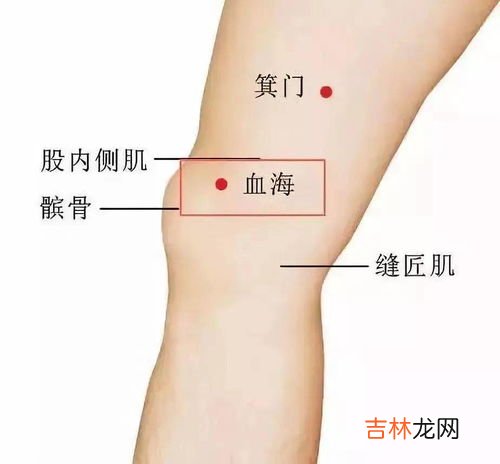 口外指的是哪里,口外是骂人的意思吗