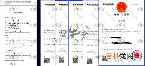 五个脚趾怎么称呼,英语的五个脚指分别怎么说?