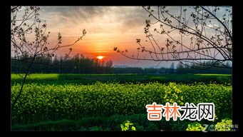 几度夕阳红的上一句是什么,几度夕阳红上句是什么