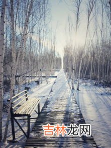 淡雪耐寒多少度,紫乐和淡雪哪个耐寒