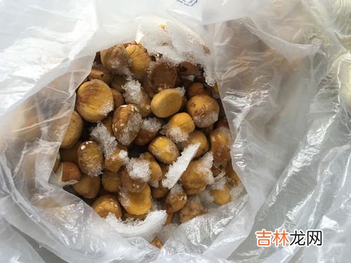 过期食品属于,过期食品属于什么垃圾 过期食品的垃圾分类