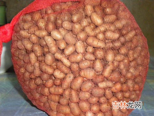 灶心土是什么东西,什么是灶心土