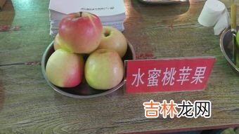 水蜜桃怎么保存,水蜜桃要怎么保存 水蜜桃要放冰箱保存吗