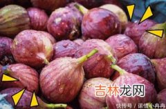 新鲜无花果怎么保存,怎样储存无花果无花果保存方法