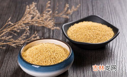 糯小米可以煮粥吗,煮粥用糯小米还是小米