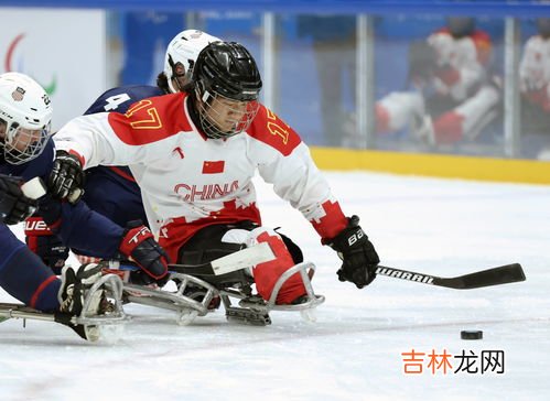 冰球米勒是哪个国的,越狱男主角米勒为什么有八国血统????/