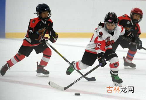 冰球米勒是哪个国的,越狱男主角米勒为什么有八国血统????/