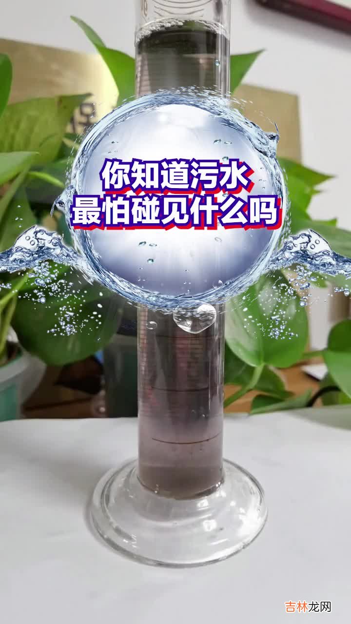 水的用途,水有哪些作用?