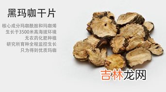 姿美堂玛咖片价格,玛咖片多少钱一瓶60粒