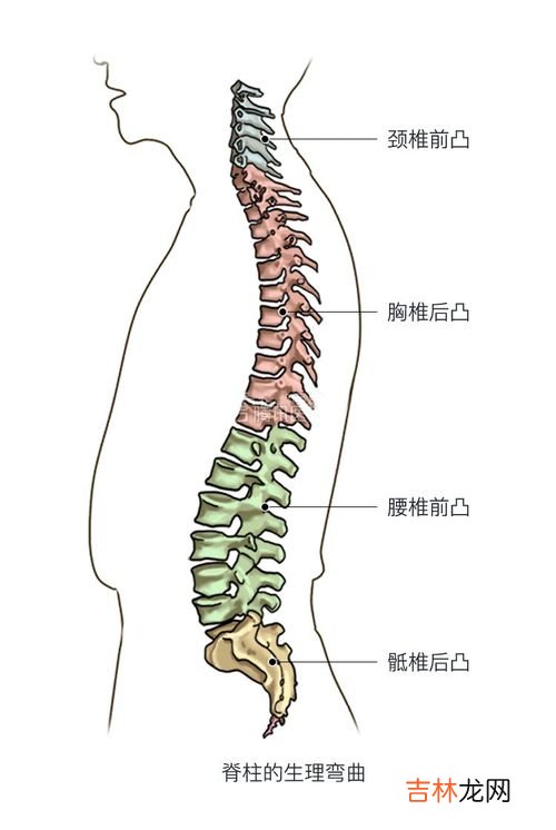 为什么睡觉会腰疼,睡觉睡的腰痛什么原因