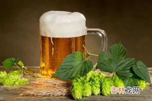 好啤酒配料表的标准,好啤酒的配料表有什么？