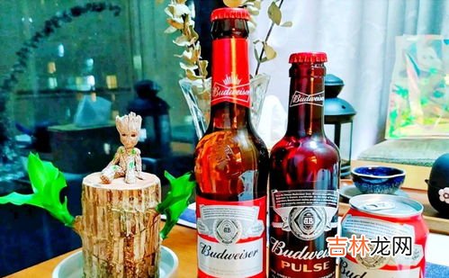 好啤酒配料表的标准,好啤酒的配料表有什么？