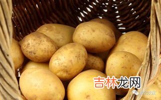 冻土豆什么意思,土豆冻了还能吃吗