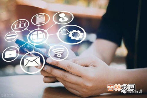 入职背景调查都查什么,企业背调一般查什么