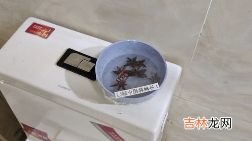 樟脑丸能驱赶蟑螂吗,樟脑球真的能杀死蟑螂吗？