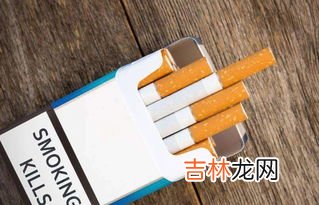 抽烟斗和抽香烟哪个危害大,用烟斗抽烟丝和香烟哪个危害更大