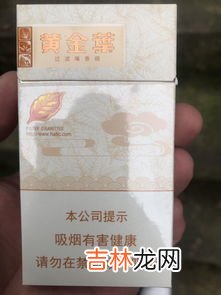 抽烟斗和抽香烟哪个危害大,用烟斗抽烟丝和香烟哪个危害更大