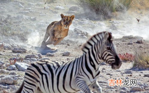 亚洲和非洲的分界线是什么,亚洲与非洲的分界线在哪里