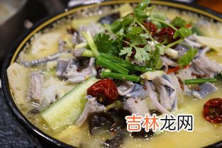 蛇的主食是什么,蛇吃什么食物