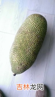菠萝蜜怎么保存,菠萝蜜怎么保存才不坏