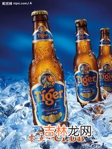 虎牌啤酒是哪个国家的,哪里能买到新加坡原装虎牌啤酒