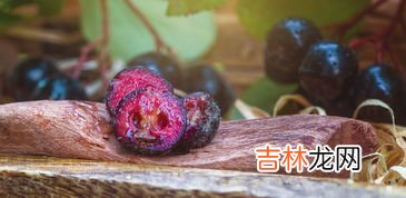 不适合吃野樱莓的人,不老莓的功效与作用及食用方法是什么？