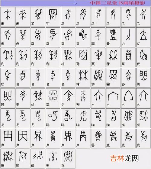 甲骨文属于哪一类文字,甲骨文是一种什么文字