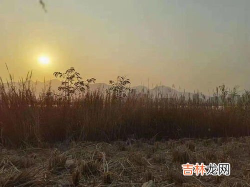 世界上最大的湿地在哪个国家,国际重要湿地面积最大的国家