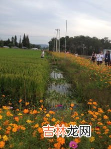 世界上最大的湿地在哪个国家,国际重要湿地面积最大的国家
