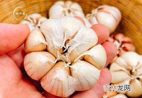 大蒜如何保存不发芽,大蒜怎么保存不会发芽 大蒜保存不发芽的几种方法
