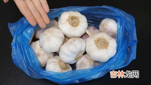 大蒜如何保存不发芽,大蒜怎么保存不会发芽 大蒜保存不发芽的几种方法