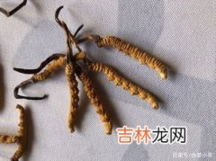 虫草一次吃几根,冬虫夏草一天吃几条合适，怎么吃