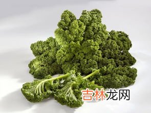 长期喝羽衣甘蓝粉可以减肥吗,严料坊羽衣甘蓝粉怎么样