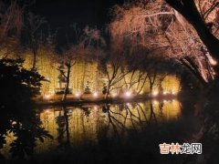 东风夜放花千树更吹落星如雨是什么节日,东风夜放花千树 更吹落星如雨是什么节日