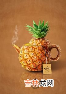 菠萝薄荷水果茶的家常做法,水果茶制作方法和配方大全
