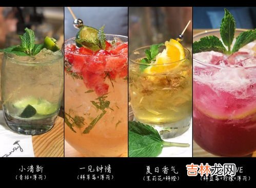 菠萝薄荷水果茶的家常做法,水果茶制作方法和配方大全