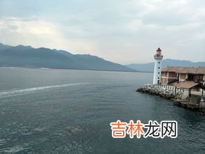 海对面是什么意思,辛巴酒后喊话海对面，为何说宁死也不会跟你们和好？